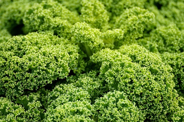 ** Ukryta lokalizacja a sukces restauracji wegańskiej: Zalety i wady piwnicy. - 3 2025